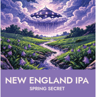 Пиво Spring Secret