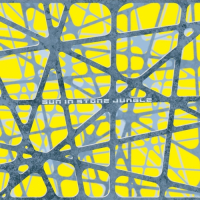 Пиво Sun In Stone Jungle