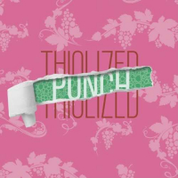 Пиво Thiolized Punch