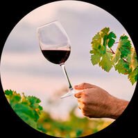 Пиво Спелая вишня