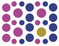 Пиво Insetto (2021)