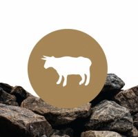 Пиво Organic Ancient Grain Sour Ale Пиво Organic Ancient Grain Sour Ale