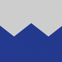 Пиво Wavvy Triangle