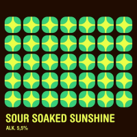 Пиво Sour Soaked Sunshine