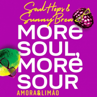 Пиво More Soul, More Sour Пиво More Soul, More Sour