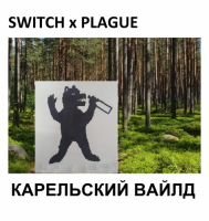 Пиво Карельский Вайлд