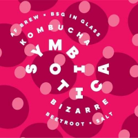 Пиво Bizarre. Beetroot × Salt