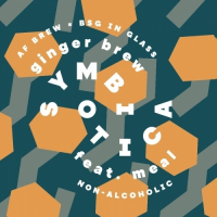 Пиво Ginger Brew feat. meal