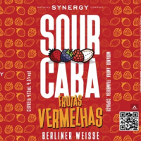 Пиво Sourcaba Frutas Vermelhas com Cupuaçu Пиво Sourcaba Frutas Vermelhas com Cupuaçu