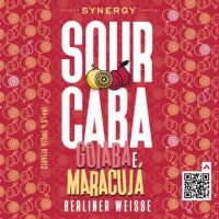 Пиво Sourcaba Goiaba e Maracujá Пиво Sourcaba Goiaba e Maracujá