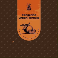Пиво Tangerine Urban Termite