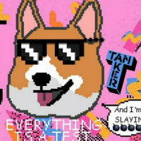 Пиво Everything Is A Test Пиво Everything Is A Test