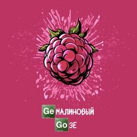 Пиво Geмалиновый Goзе