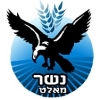 Пиво Nesher Malt (נשר מאלט)