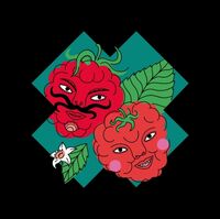 Пиво BERRY BLOOD: RASPBERRY