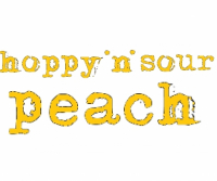 Пиво Hoppy & Sour : Peach