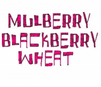 Пиво Mulberry Blackberry Wheat
