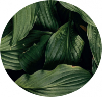 Пиво Hybrid Theory