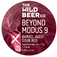 Пиво Beyond Modus 9 Пиво Beyond Modus 9