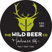 Пиво Madness IPA (pre-2021) Пиво Madness IPA (pre-2021)