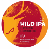Пиво Wild IPA Пиво Wild IPA