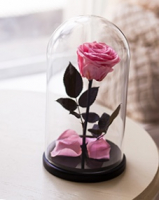 Пиво Granny Rose Пиво Granny Rose