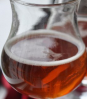 Пиво IPA (without DH) Пиво IPA (without DH)