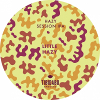 Пиво Little Hazy