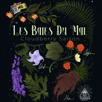 Пиво Les Baies du Mal Пиво Les Baies du Mal