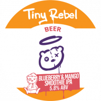 Пиво Blueberry & Mango Smoothie IPA