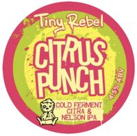 Пиво Citrus Punch