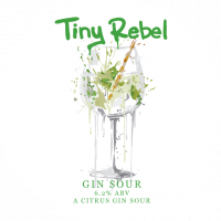 Пиво Gin Sour Пиво Gin Sour