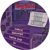 Пиво Here Gose Nuthin'