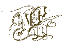 Пиво NP10 (Belgian Golden Strong Ale) Пиво NP10 (Belgian Golden Strong Ale)