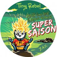 Пиво Super Saison