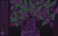 Пиво DDH WeedEater (Galaxy) Пиво DDH WeedEater (Galaxy)