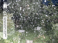 Пиво Blizzard (In A Beer Mug)