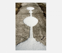 Пиво Insane In the Grain Wheat & Citra IPA