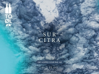 Пиво Sur Citra Пиво Sur Citra