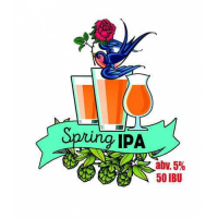 Пиво Spring IPA