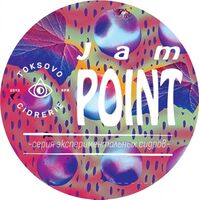 Пиво Jam Point: Black Currant And Cumin. Vintage 2022