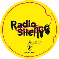 Пиво Radio Silence Collab. Radio Wine. Vintage 2024