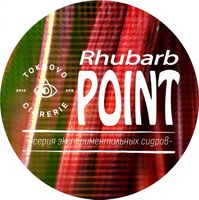 Пиво Rhubarb POINT 