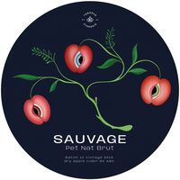 Пиво Sauvage. Pet Nat Brut. Vintage 2019