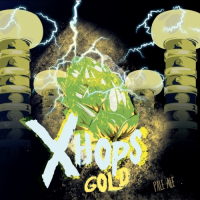 Пиво Xhops Gold (w/ Citra & Mosaic)