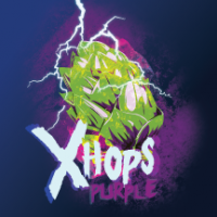 Пиво Xhops - Purple
