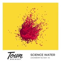 Пиво Science Water - Loganberry Пиво Science Water - Loganberry