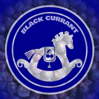 Пиво Ginger Horse Black Currant Cider