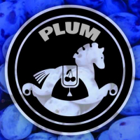 Пиво Ginger Horse Plum Cider