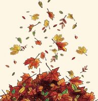 Пиво Autumn Пиво Autumn